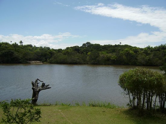 sapiranga